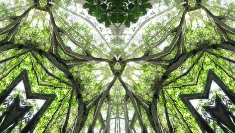 patrón de simetría triangular de caleidoscopio de la rama natural del árbol en el bosque