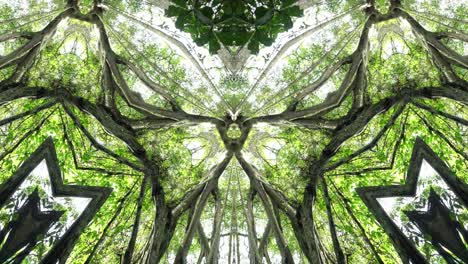 kaleidoscope triangle symmetry pattern of natural tree branch in forest