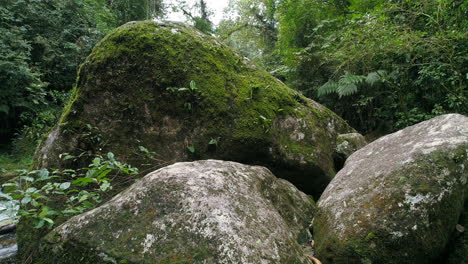 Revealing-a-beautiful-river-inside-the-rainforest-from-behind-a-big-rock,-dolly-camera-movement