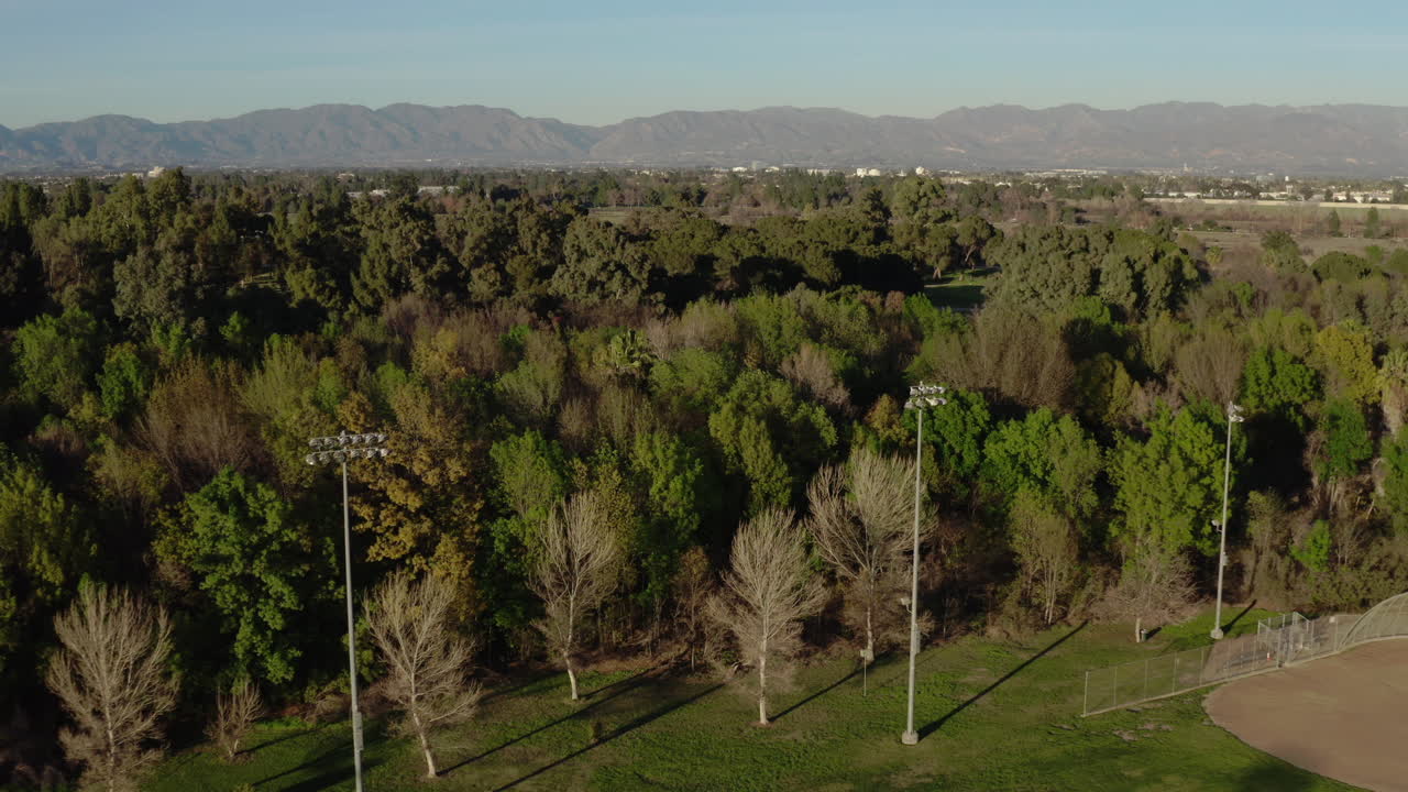 volando sobre las cimas de los árboles hacia la montaña en un día soleado y despejado