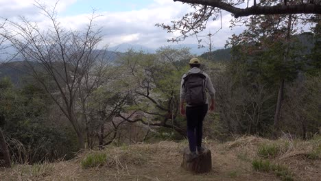 caminante solitario parado en el mirador, mirando hacia la distancia