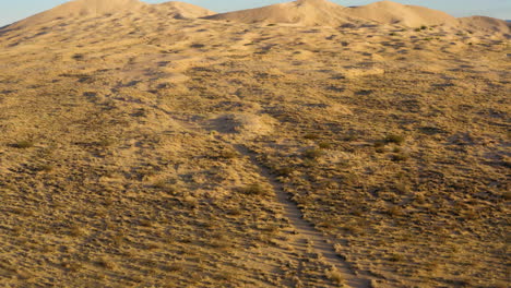 Flying-over-a-dirt-path-slowing-panning-up-to-see-large-sand-dunes-in-the-yellow-late-afternoon-sun