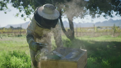 an-unrecognizable-male-beekeeper-working