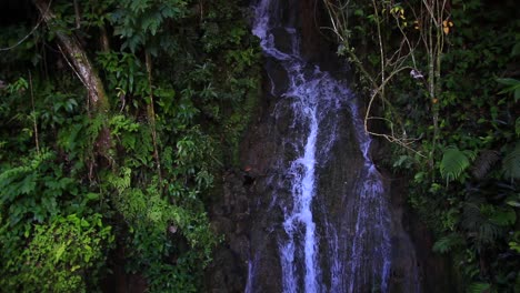 a small waterfall found on the side of the road in puerto rico while driving through a lush jungle