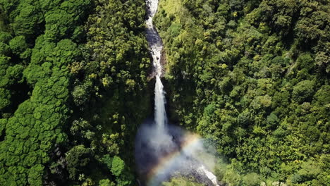 rainbow waterfall flowing at forest in hawaii island