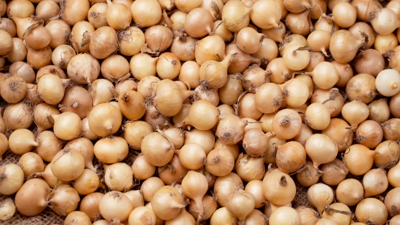 Filmato: cipolle bianche in rotazione su sfondo