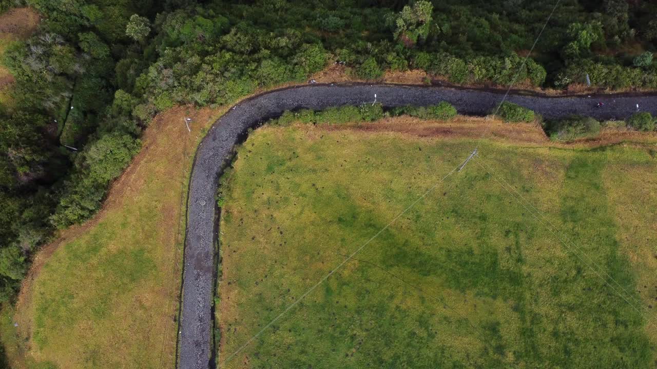 Aerial overhead perspective of a person riding a bicycle ina winding road cutting through vibrant green fields, bordered by dense trees, showcasing the beauty and natural landscape of the countryside