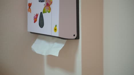 wall-mounted tissue dispenser