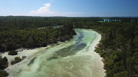 laguna que fluye hacia la bahía de oro en el fondo de la isla de pinos - vista aérea ascendente