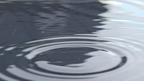 macro shot of water droplets falling in slow motion on a garden table, creating ripples on the surface