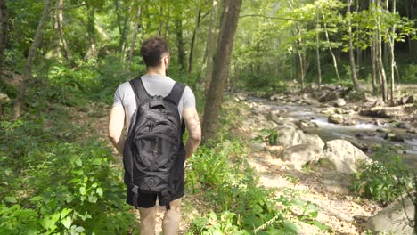 man walking by the stream in the forest.