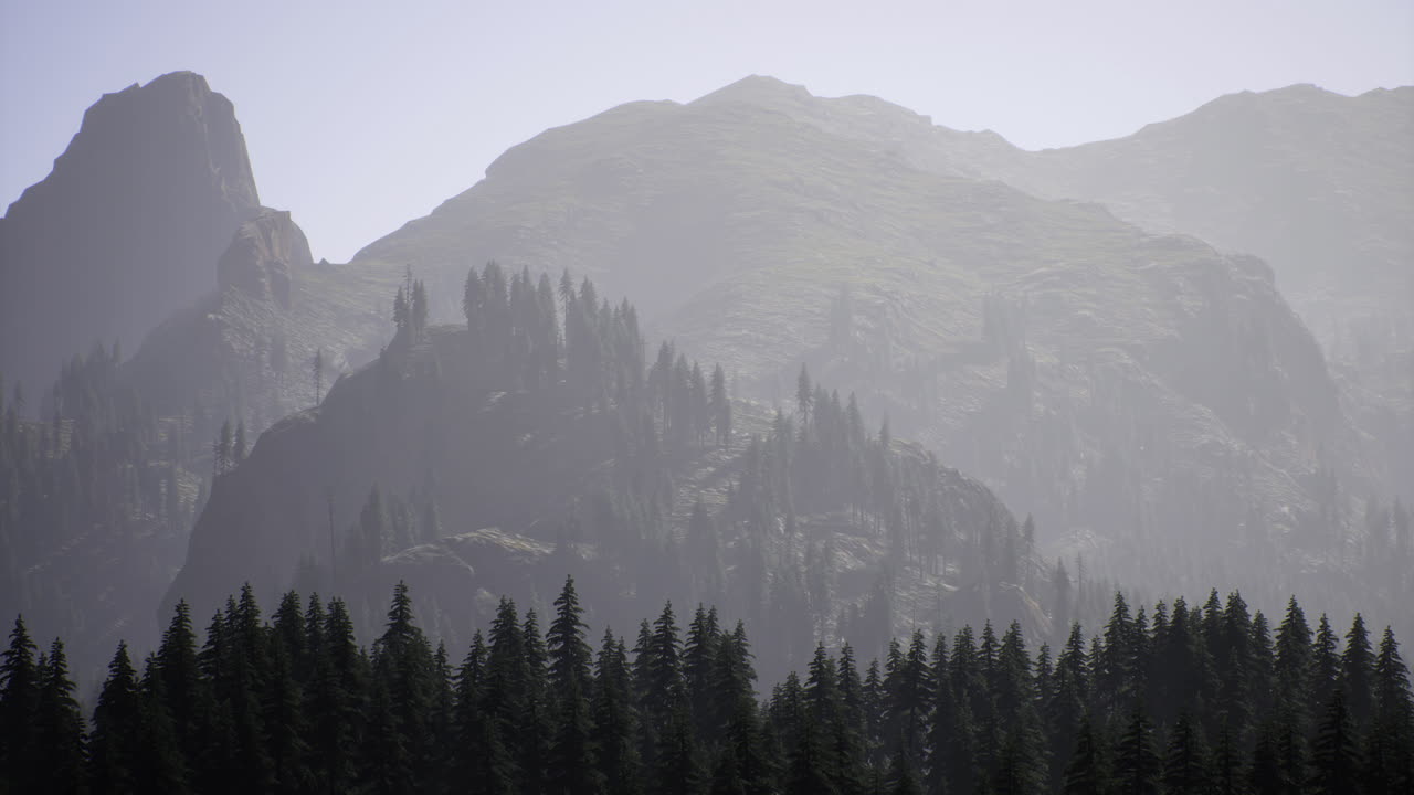 Mountain view with fog and evergreen trees at sunset in the wilderness