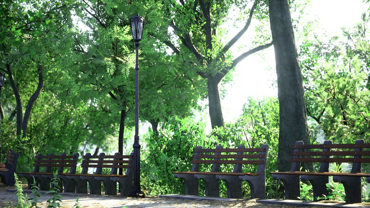 Peaceful park setting with benches under sunlight and greenery