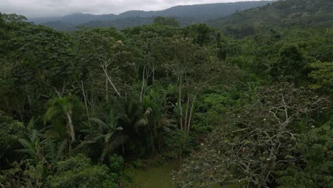 Bolivia rainforest jungle Pilón Lajas Biosphere Reserve Rurrenabaque aerial drone