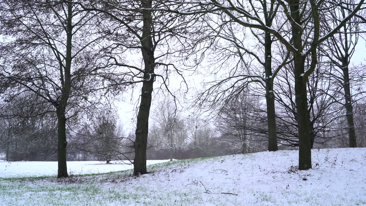 Parco innevato con prato verde