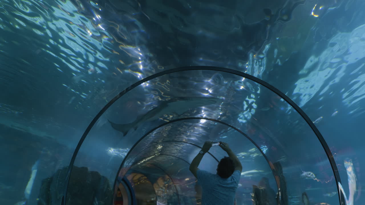 Aquarium Tunnel Experience