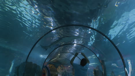 aquarium tunnel experience