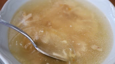 chicken noodle soup
