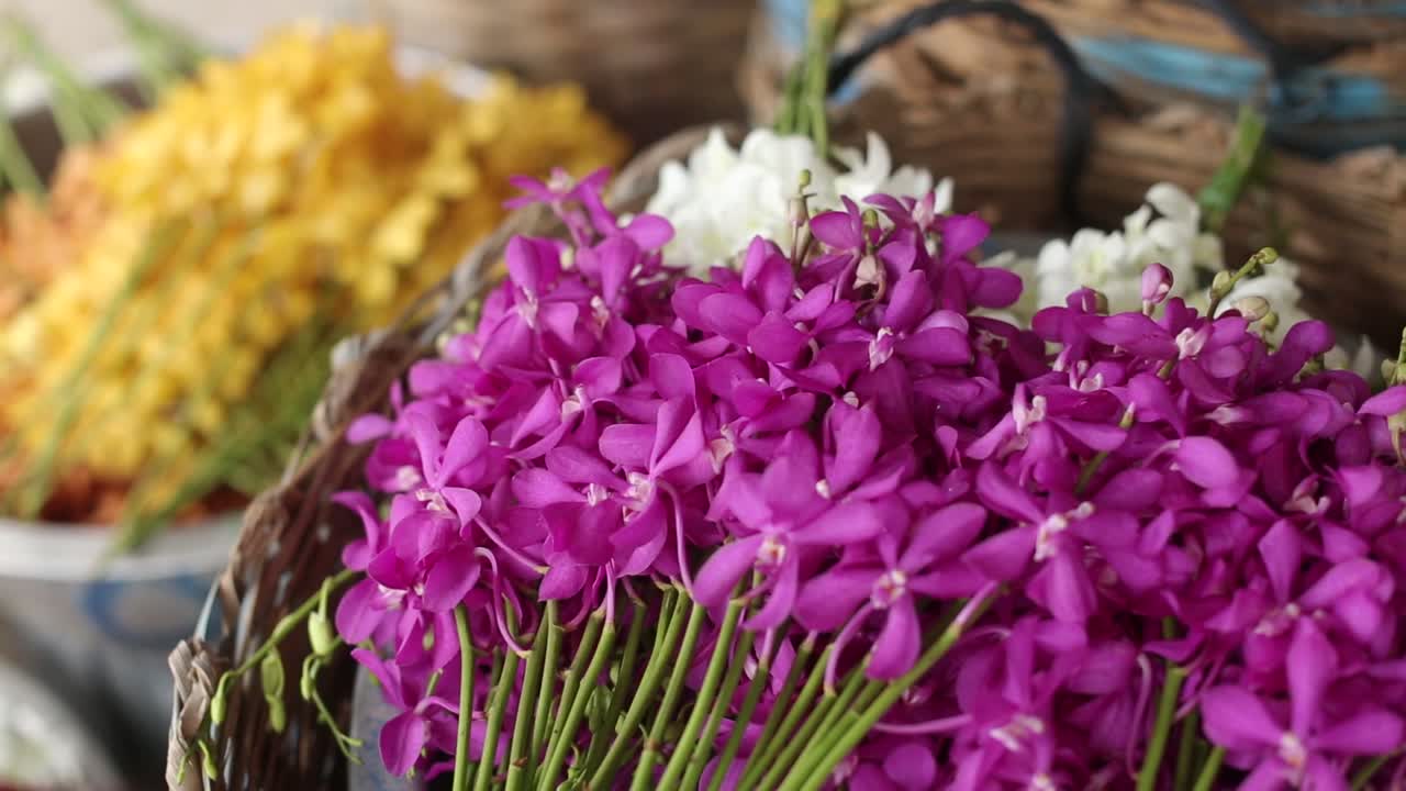 montones de flores de orquídeas frescas y coloridas