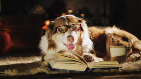 dog wearing glasses beside open book and fireplace cup of tea 01