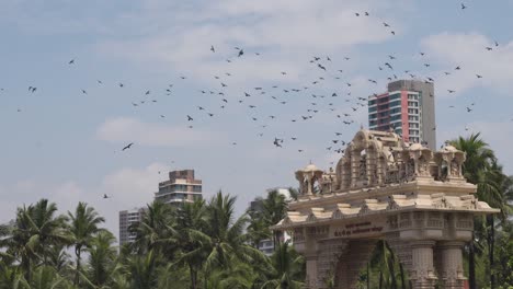 Bandada-De-Pájaros-En-Vuelo-Sobre-Edificios-En-Mumbai-India