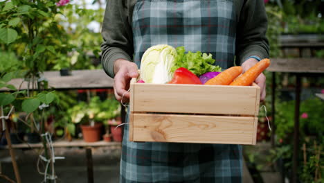 gardener holding wooden crate of fresh vegetables