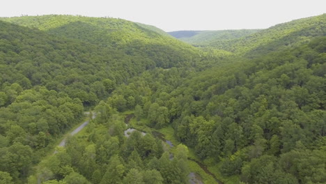 tilting aerial drone shot into the lyman run state park, pennsylvania