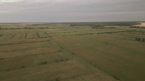 Empty-fields-after-reaped-gathered-harvest-crop,-Flying-straight-motion-green-fields-landscapes-in-Debki-village,-located-in-North-Poland