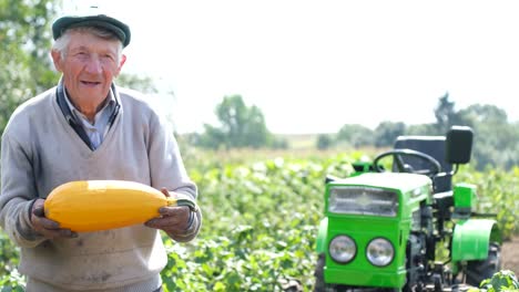 happy farmer with zucchini harvest