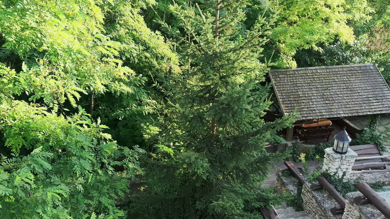 Verdant Oasis: Exploring Nature's Haven at the Rustic Open Air Restaurant, Butuceni, Moldova