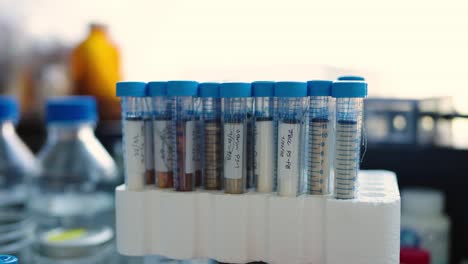 tubos de ensayo de ciencia organizados en almacenamiento para un experimento