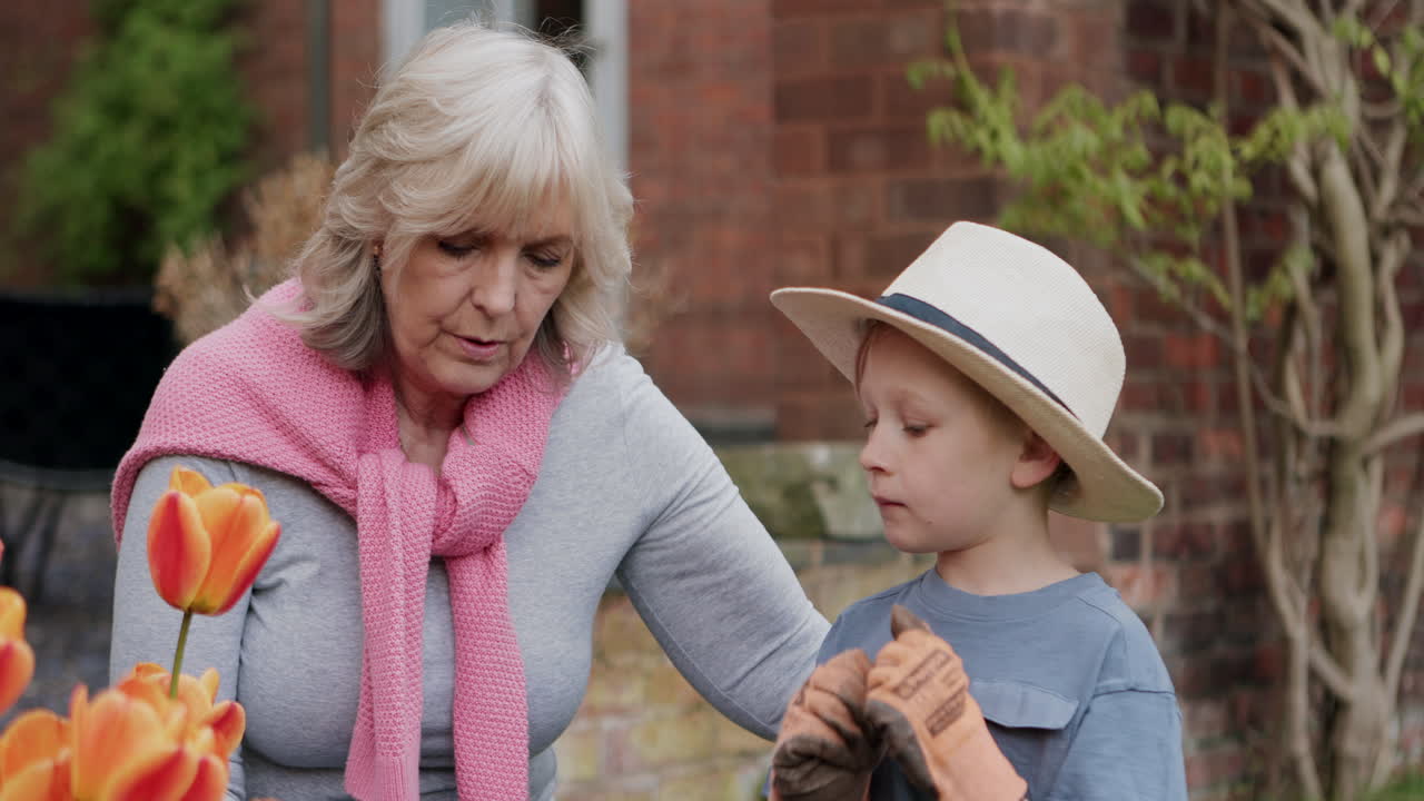 Grandmother and Grandson Gardening with Tulips