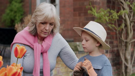 grandmother and grandson gardening with tulips