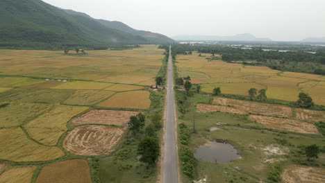 Scooters-Ride-Down-Long-Straight-Country-Road-In-Lang-Co-Vietnam