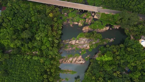 stunning aerial drone shot of kerala’s forest landscape, where coconut trees and a flowing river meet in harmony.