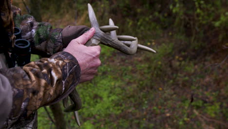 Rasselhörner,-Die-Bei-Der-Jagd-Verwendet-Werden