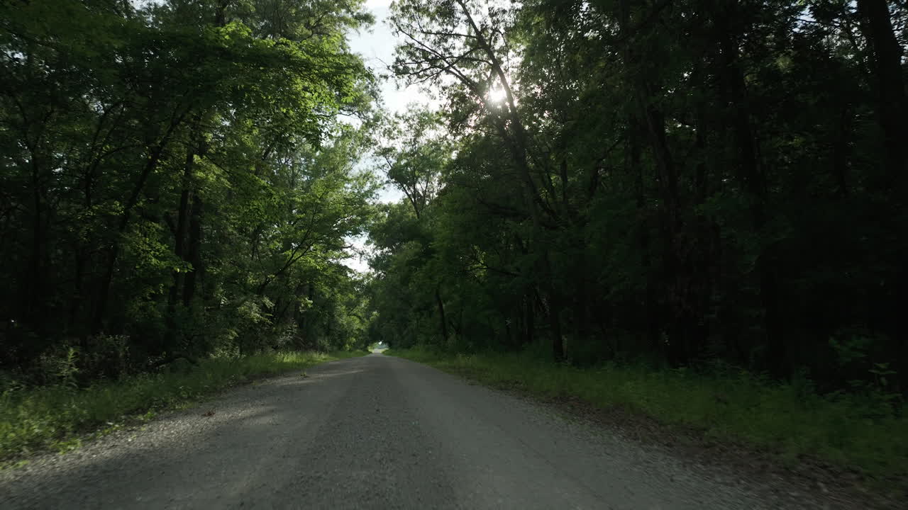 Viaggio tranquillo lungo una strada boschiva