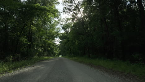 viaje pacífico a lo largo de un camino de bosque
