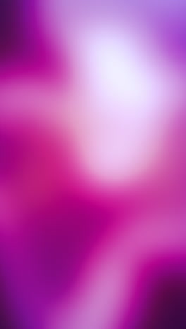 abstract purple and pink gradient blur