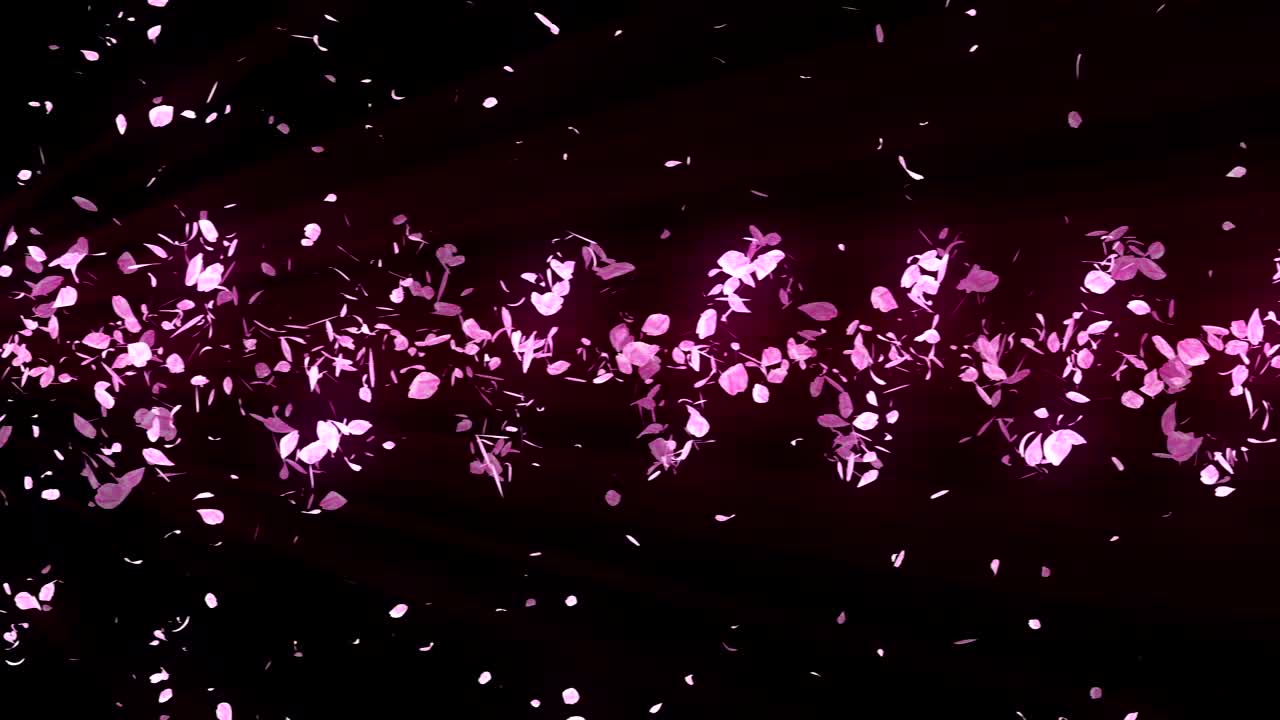 꽃의 나선형 반이는 입자, 사쿠라 패턴, 일본의 꽃 춤, 분홍색 꽃잎의 소용돌이, 추상적인 루프 애니메이션.