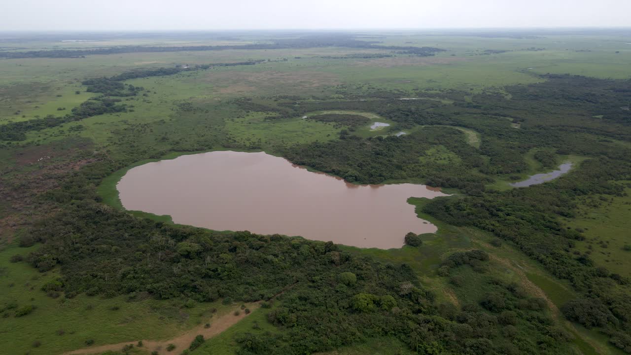 Bolivia Pampas Bolivian Amazon forest rainforest nature aerial drone landscape