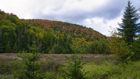 fall timelapse in a beautiful fall landscape