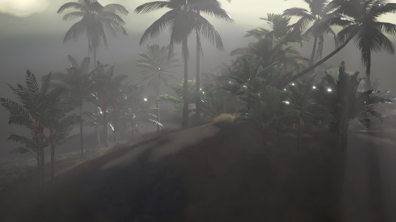 Coco palm trees tropical landscape