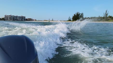 jumping dolphins play and have fun in waves of boat wake along side beach in florida gulf of mexico