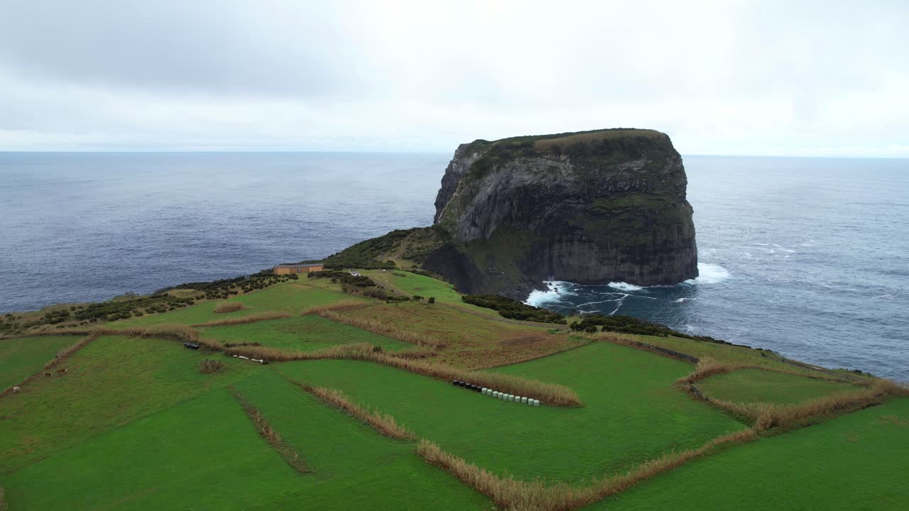 녹색  위의 모로 도 카스텔로 브란코의 공중 도리 포워드