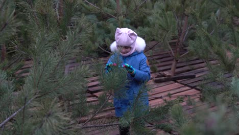 a cute little girl in a pine forest in the autumn time