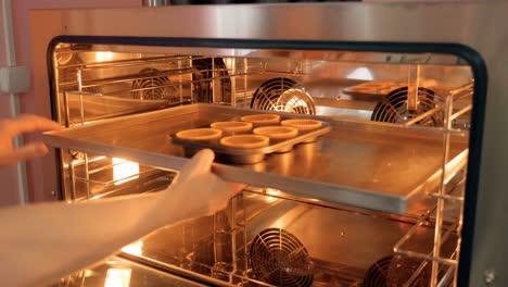 commercial oven interior with cupcake pans