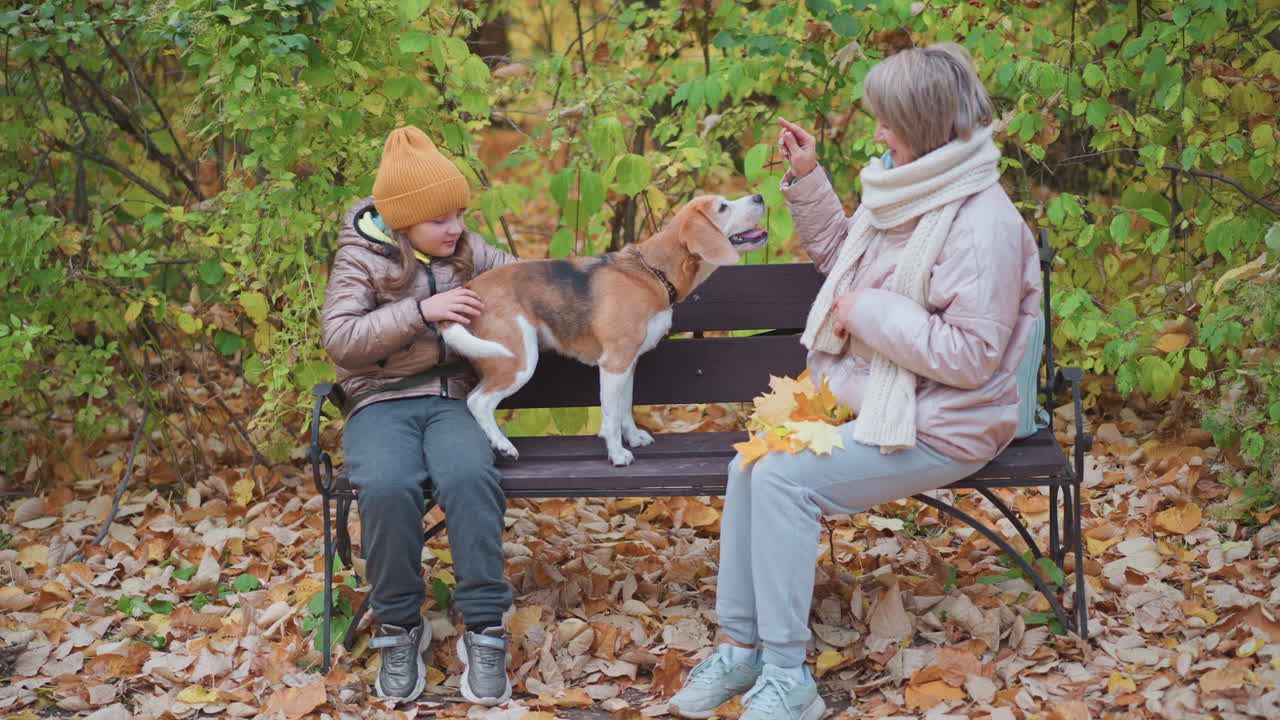 Girl in brown jacket and orange beanie sits beside older woman on bench as curious beagle explores, surrounded by fallen leaves and lush green-yellow foliage