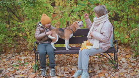 girl in brown jacket and orange beanie sits beside older woman on bench as curious beagle explores, surrounded by fallen leaves and lush green-yellow foliage