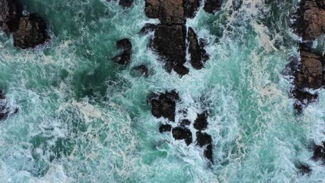 Sea-shore-an-beach-rock-area,-full-of-sand,-seaweed-,-big-waves-and-pure-water-of-Chile